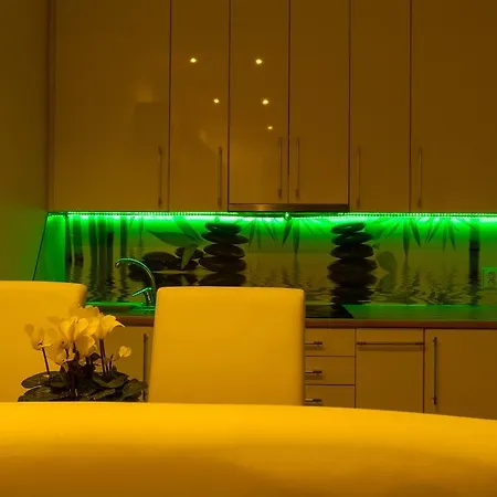 公寓 Spa Apartment 卡罗维发利